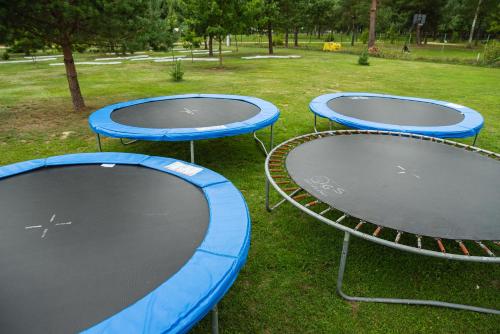 a group of three trays in a park at Senelio Romo Sodyba in Molėtai