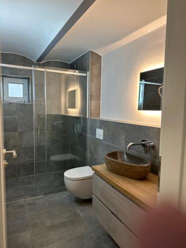 uma casa de banho com um lavatório, um WC e um chuveiro em Villa Schellhase em Werder