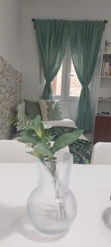 Casa da Tia Binda في مونكاو: مزهرية بيضاء فيها نبات على طاولة