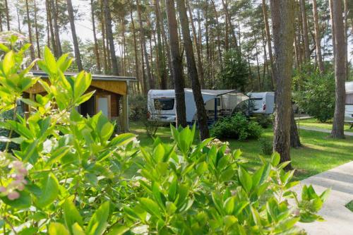 Un par de caravanas estacionadas en el bosque en Urlaub im Wohnwagen mitten im Wald, en Lütow
