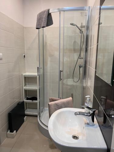W łazience znajduje się prysznic i biała umywalka. w obiekcie Look of Dreams - Apartament Milowice w mieście Sosnowiec