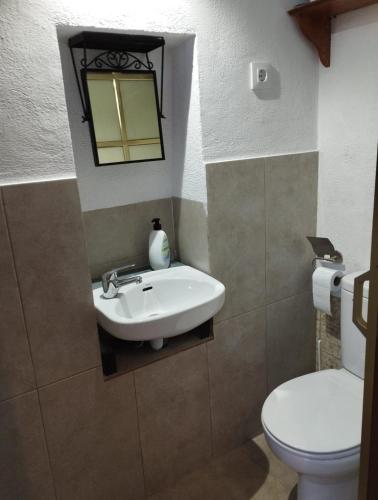 a bathroom with a sink and a toilet at Alojamiento rural casa cueva abuelo Miguel in Pegalajar
