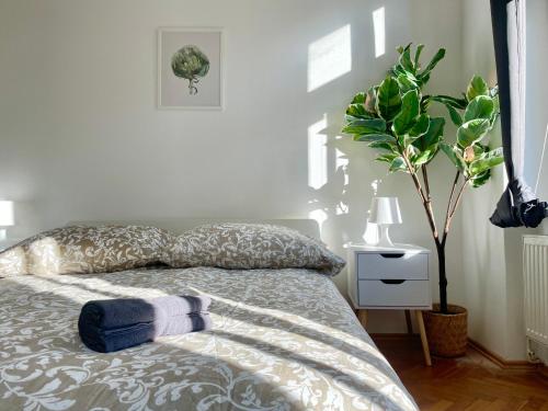 Dormitorio con cama con almohada y planta en Sunny & Calm 45 m2 Apartment, en Viena