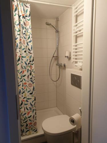 a bathroom with a shower with a toilet and a shower curtain at Apartment Heideland in Buchholz in der Nordheide