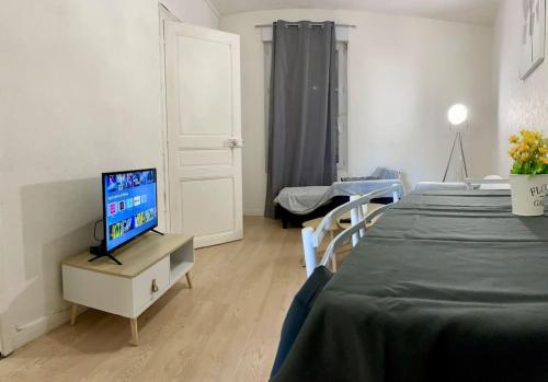 Et tv og/eller underholdning på Apartment T2 Le Mans TGV Station