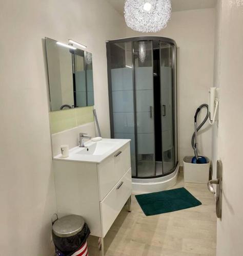 une salle de bain avec un lavabo et une douche avec un miroir dans l'établissement Apartment T2 Le Mans TGV Station, au Mans