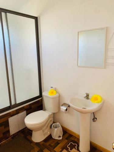 a bathroom with a toilet and a sink at Pua vaenga in Hanga Roa