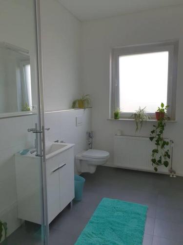 a bathroom with a toilet and a sink and a window at Moderne 2 Zimmerwohnung/ Eggenstein/nähe KIT Nord in Eggenstein-Leopoldshafen