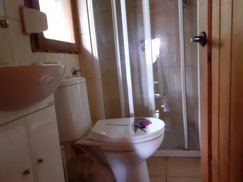 łazienka z toaletą z kwiatem na siedzeniu w obiekcie Sommerhaus am See w Ślesinie
