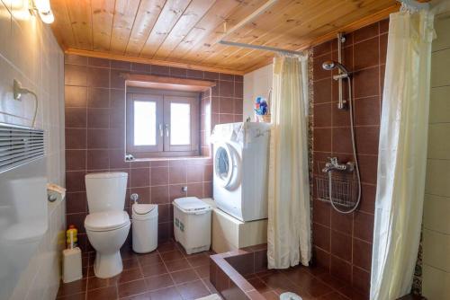 a bathroom with a toilet and a sink and a shower at Clio's Stone House in Kipoi