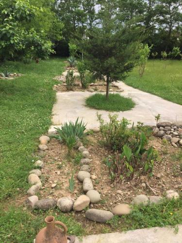 a garden with a tree and a path at Mera Hostel in P'arts'khanaqanevi