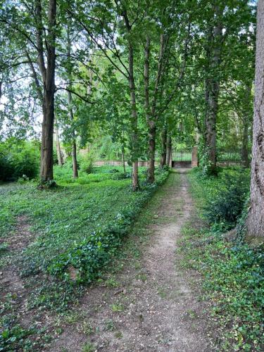 un camino de tierra a través de un bosque con árboles en Le château de cartes des Massés, en Villeneuve-la-Guyard