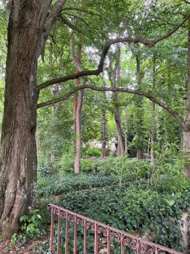 un banco junto a un árbol en un parque en Le château de cartes des Massés, en Villeneuve-la-Guyard