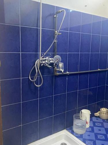 La salle de bains est pourvue de carrelage bleu, d'une douche et d'une baignoire. dans l'établissement Modern guesthouse, à Réunion