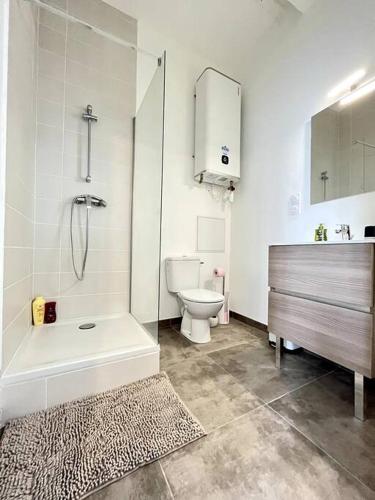 une salle de bain avec une douche, des toilettes et un lavabo dans l'établissement L'Agate bleue - Bourg-de-Péage, à Bourg-de-Péage