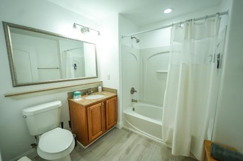 a bathroom with a toilet and a sink and a shower at Orlando Blue Heron Beach Resort Renewed apartment in Orlando