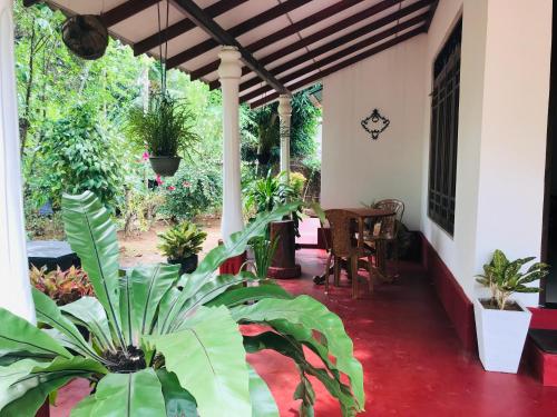 a room with a bunch of potted plants at Elephant Side Bungalow in Udawalawe