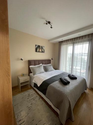 Ένα ή περισσότερα κρεβάτια σε δωμάτιο στο Apartman Dream LUX & SPA - Vila Matis