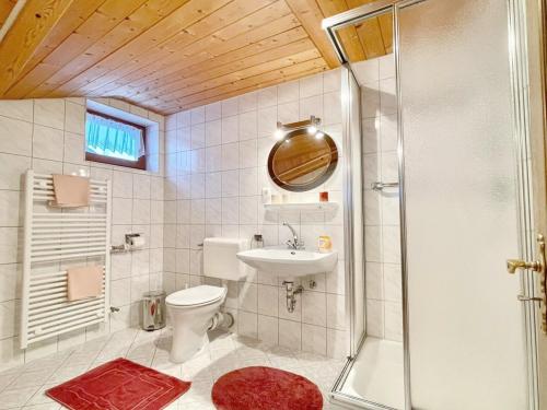 a bathroom with a shower and a toilet and a sink at Edenhofer-Kollmer in Drachselsried