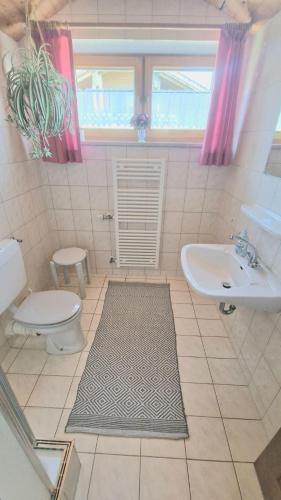 a bathroom with a toilet and a sink at Edenhofer-Kollmer in Drachselsried