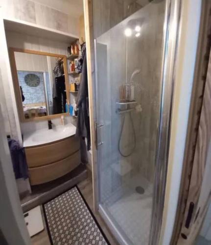 une salle de bain avec douche et lavabo dans l'établissement Petit appartement T2 30m2, à Aix-les-Bains