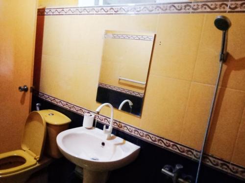 a bathroom with a sink and a toilet and a mirror at River Retreat Sigiriya in Sigiriya
