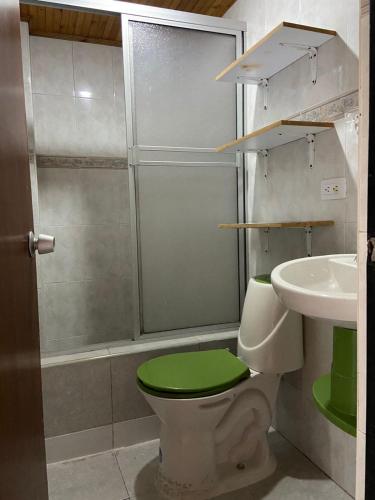 baño con aseo verde y lavamanos en Acogedor Apartamento céntrico I, en Armenia