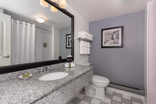 a bathroom with a sink and a toilet and a mirror at Acadia Inn in Bar Harbor