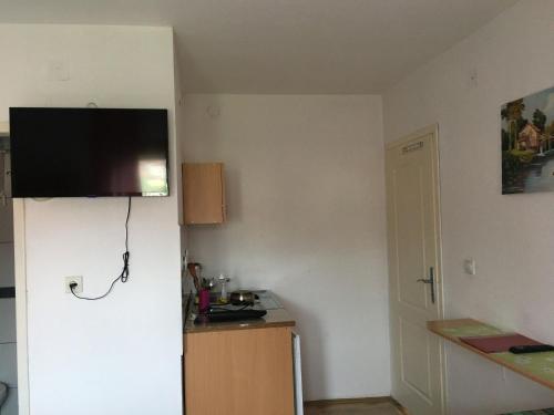 Fotografie z fotogalerie ubytování VILA ZORICA v destinaci Ribarska Banja