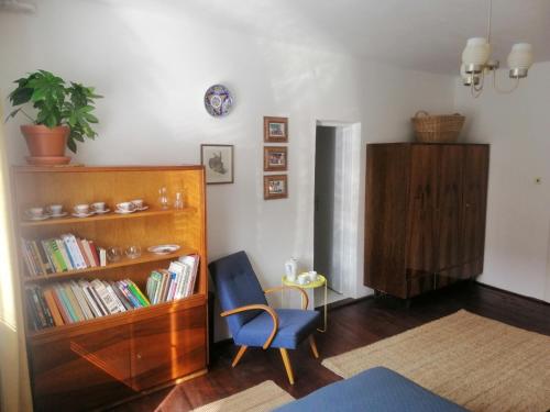 sala de estar con estante de libros y silla azul en NaKonci, en Vacenovice