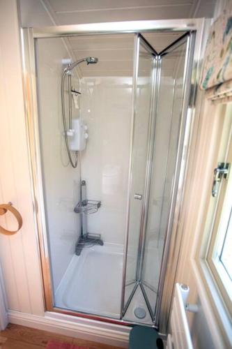 a shower with a glass door in a bathroom at Shepherds Huts Tansy & Ethel in rural Sussex in Arundel
