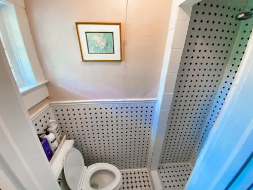 a bathroom with a toilet and a picture on the wall at Park Place Inn and Cottages in Sanford