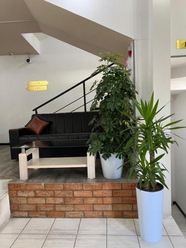 Fotografie z fotogalerie ubytování Temurkhan Hotel v destinaci Taškent