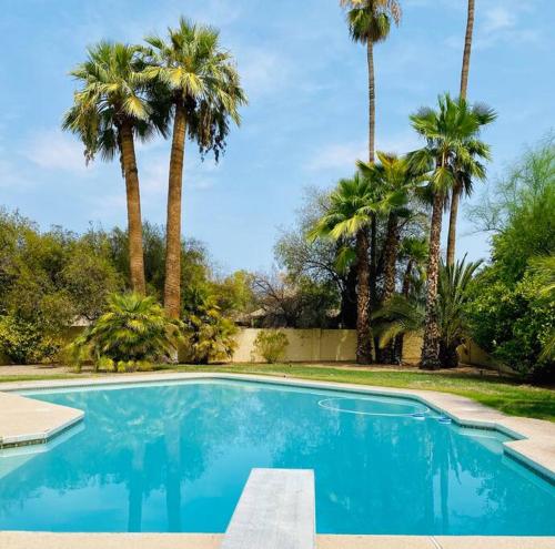 une grande piscine bleue bordée de palmiers dans l'établissement The Casita in the heart of Paradise Valley Arizona, à Scottsdale
