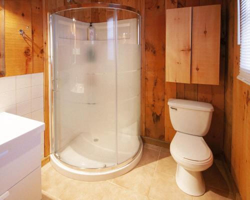 a bathroom with a shower and a toilet at Chalet 8 in Val-David