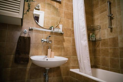 een badkamer met een wastafel en een spiegel bij Beer and caffe apartment in Subotica