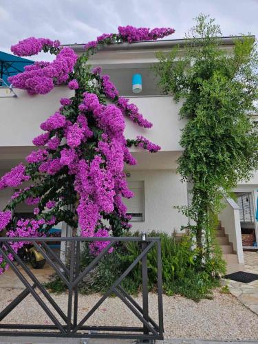 Apartman Legac 2 Nin