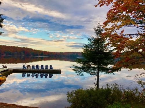 un grupo de personas sentadas en un muelle en un lago en Walker Lake Resort en Huntsville