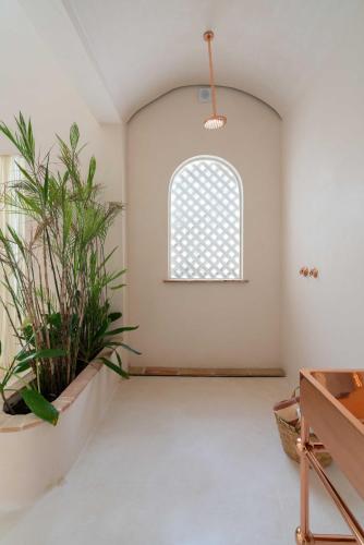 an empty room with a window and a plant at Anat Tantric Boutique Hotel in Tulum