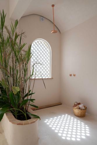 a room with a potted plant and a window at Anat Tantric Boutique Hotel in Tulum