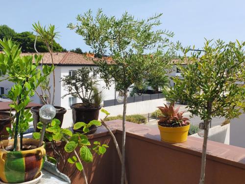 Gallery image of L'Olivier, Résidence Standing Terrasse Parking Wi-Fi Netflix in Béziers