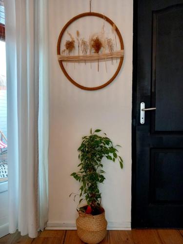 Fotografie z fotogalerie ubytování Côte d'Opale - Maison Cocooning Classé 3 Étoiles v destinaci Marquise