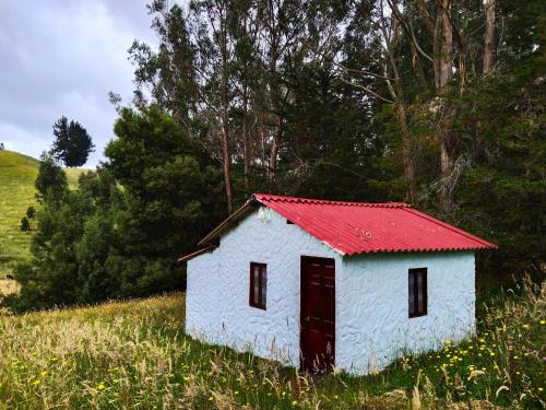 un petit bâtiment blanc avec un toit rouge dans un champ dans l'établissement Casa Enverdes, à Guasca
