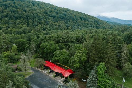 an aerial view of a house in the middle of a forest at The Leeway in Mount Tremper
