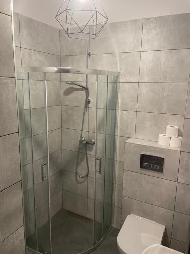 ein Bad mit einer Dusche und einem WC in der Unterkunft Zakątek przy lesie 
