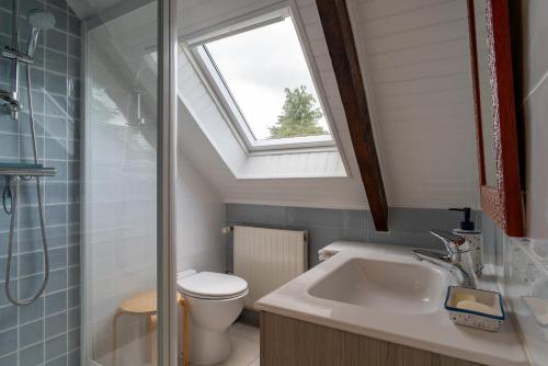 een badkamer met een toilet en een wastafel met een dakraam bij LES DEUX RIVIERES - Chambres & Table d'Hôtes - in Le Faouët