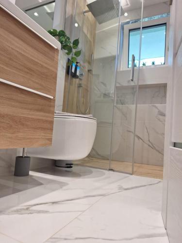 a bathroom with a toilet and a shower at Am Wald in Waldkirch