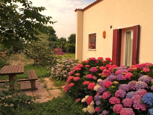 Zahrada ubytování Agriturismo Il Magicorto