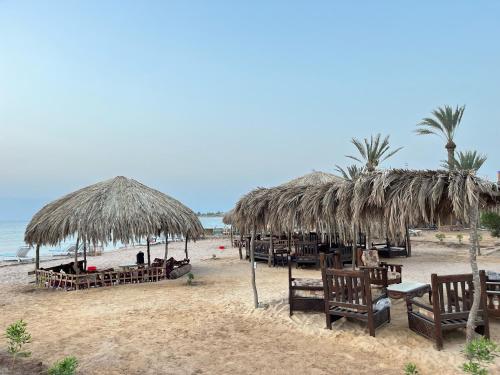 a beach with chairs and straw umbrellas and the ocean at Panorama Lodge Nuweiba in Nuweiba
