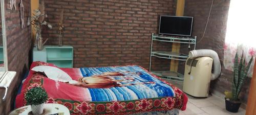 1 dormitorio con 1 cama y TV en una habitación en Finca los Arcos en Santiago del Estero